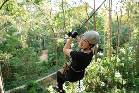 Tamborine Mountain: Tree Top Challenge at Adventure Park