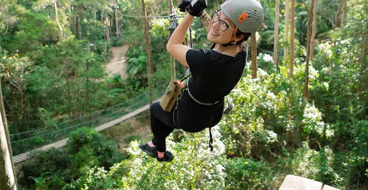 Tamborine Mountain Die BESTEN Sehenswürdigkeiten und Aktivitäten 2023