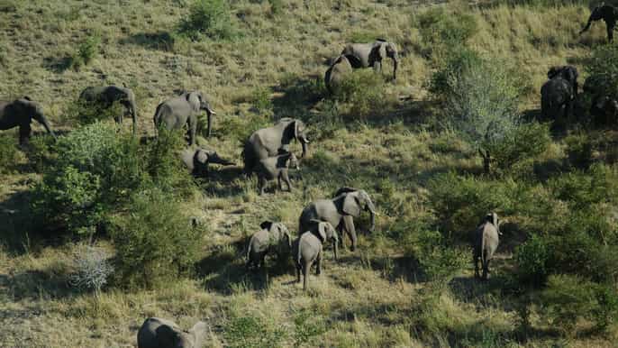 from victoria falls chobe national park safari and cruise