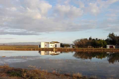 Tarragona: Delta de l'Ebre Natural Park Tour