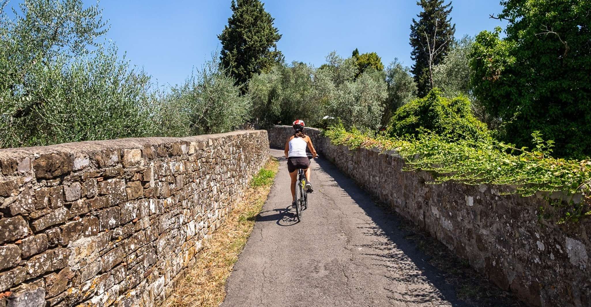 Florence: Tuscany Bike Tour with Wine & Olive Oil photo 1