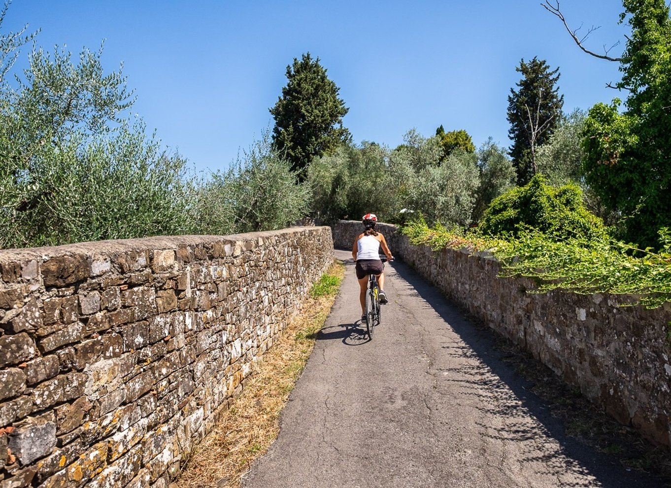 Firenze: Halvdags cykeltur og smagsprøver i Toscana