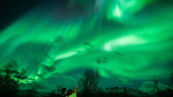 from tromsø northern lights tour by small van