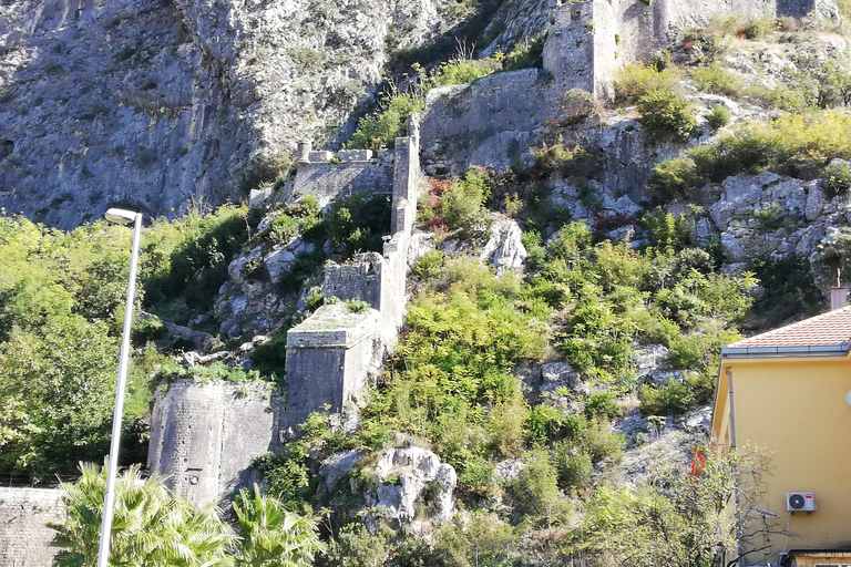 From Dubrovnik: Montenegro, Lady of the Rocks and Kotor Montenegro by Ferry and Bus Day Trip From Dubrovnik