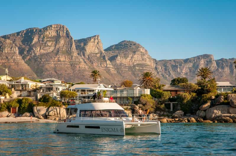 catamaran tour cape town