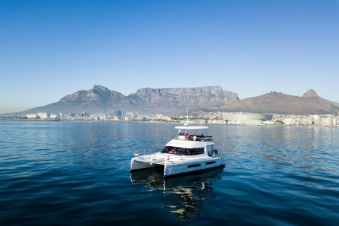 Ciudad del Cabo: crucero costero en catamarán
