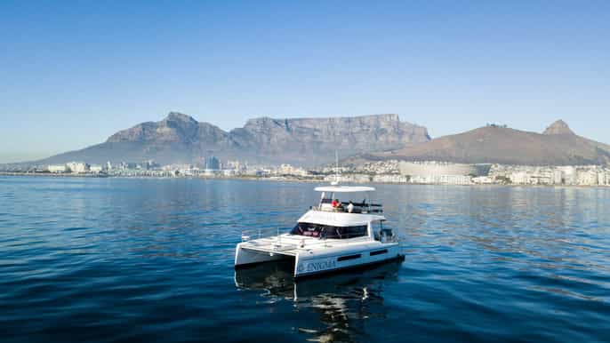 cape town coastal catamaran cruise
