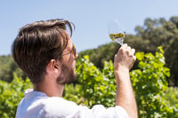 Von Marseille, Bandol und Cassis Weinprobe Tour - Hizvo
