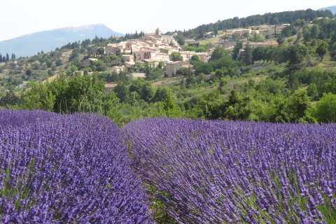 Ab Marseille: Lavendel-Tour nach Sault, Roussillon & Gordes