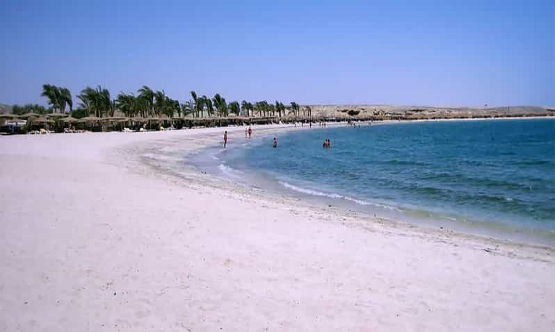 Marsa Alam: Abu Dabbab Snorkeling Tour | GetYourGuide