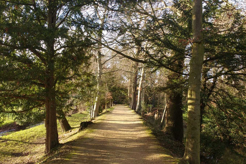 Oxford: C.S. Lewis & J.R.R. Tolkien geführter RundgangGemeinsame Gruppentour