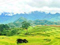 Von Hanoi nach Pu Luong, 2-Tages-Reise in ethnischen Dörfern - Hizvo