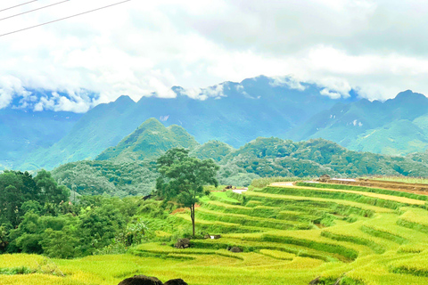 Von Hanoi nach Pu Luong: 2D1N Tour im lokalen ethnischen DorfPu Luong 2 Tage in der Gruppe