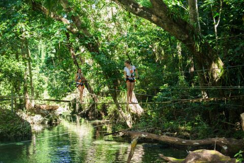 Ponts d'Eden : promenade de 2 heures dans la forêt tropicale, baignade et tyrolienne