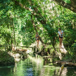 Bridges of Eden: 2-Hour Rainforest Walk, Swim, & Zip Line
