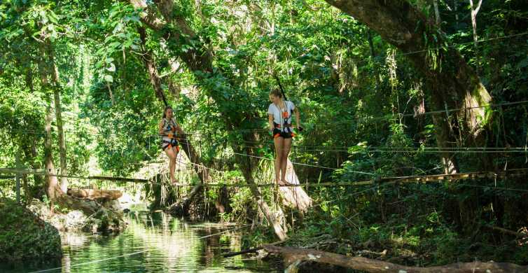 Bridges of Eden 2 Hour Rainforest Walk Swim & Zip Line GetYourGuide