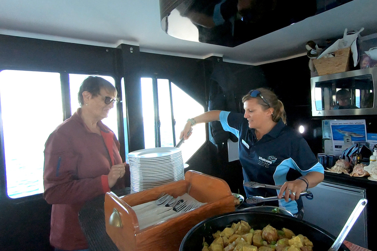Hervey Bay: Half-Day Whale Watching Cruise with Meal