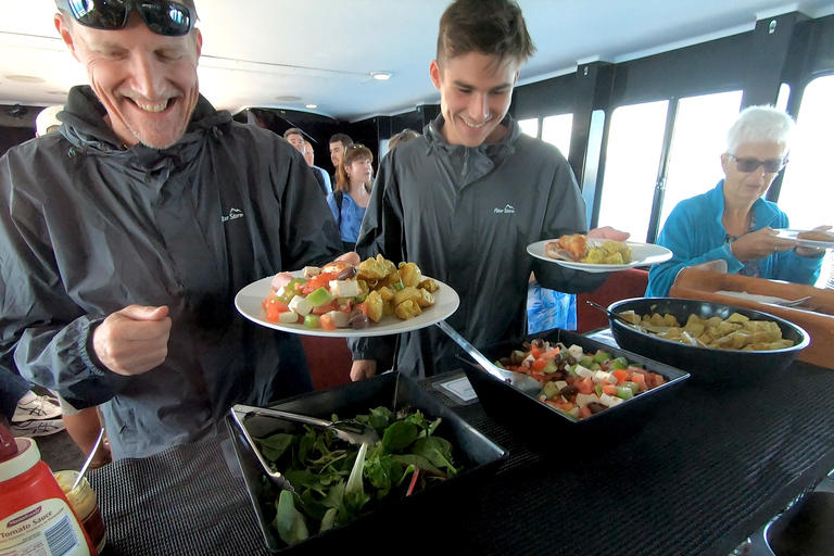 Hervey Bay: Half-Day Whale Watching Cruise with Meal