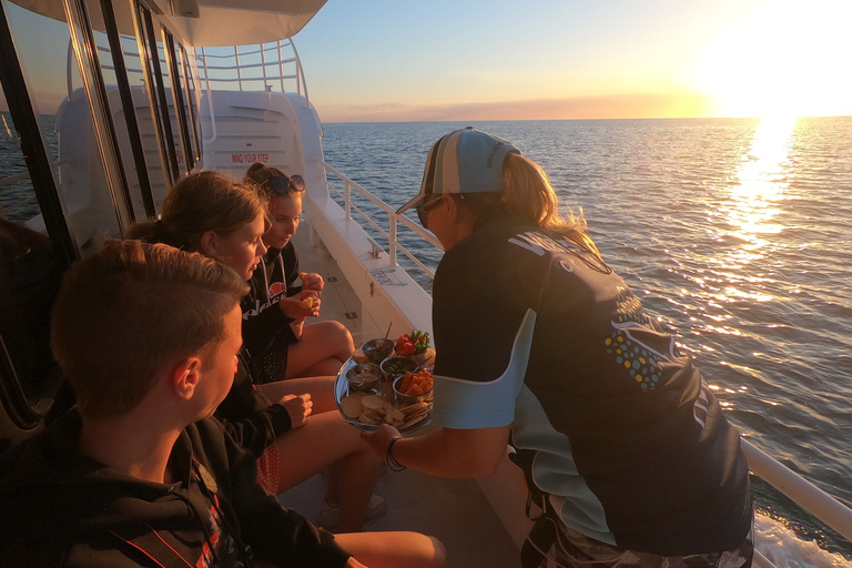 Hervey Bay: Half-Day Whale Watching Cruise with Meal