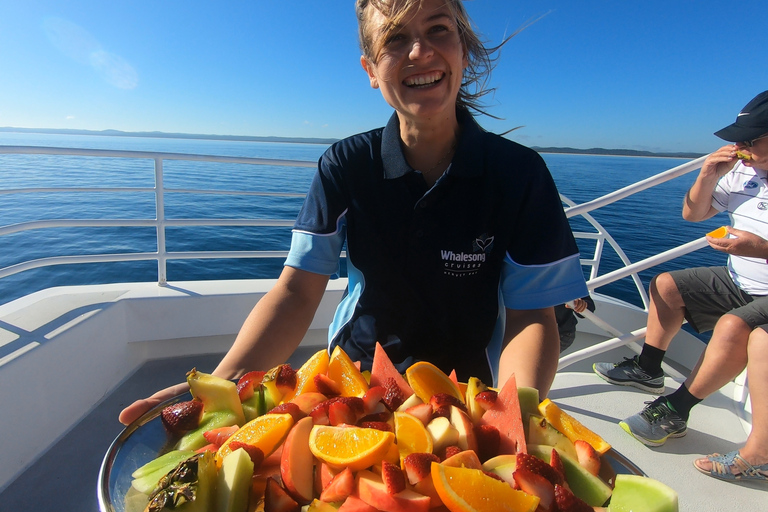 Hervey Bay: Half-Day Whale Watching Cruise with Meal