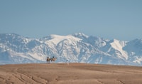 De Marrakech, VIP Agafay Desert & Oasis Camel Experience - Hizvo