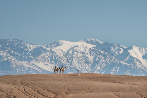 Marrakech: experiencia de camello en el desierto de Agafay y Oasis con meriendaTour con recogida y regreso al hotel / Riad