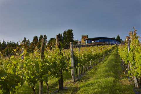 Tour del vino Txakoli di BilbaoOpzione inglese