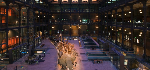 Paris: Entry Ticket to the Great Gallery of Evolution