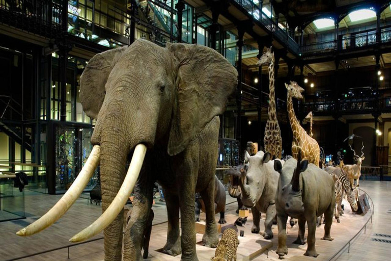 Paris: Entry Ticket to the Great Gallery of Evolution