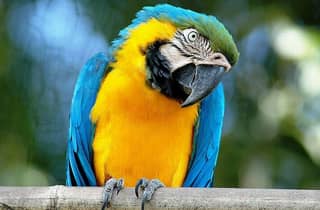 Rom: Eintrittskarte für den Zoologischen Garten "Bioparco"