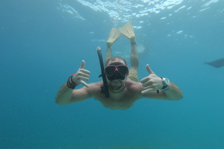 Snorkelen met schildpad en onderwaterstandbeeld in Gilis
