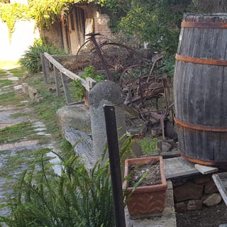 From Civitavecchia: Tuscany-Latium Wine Tour with Tastings