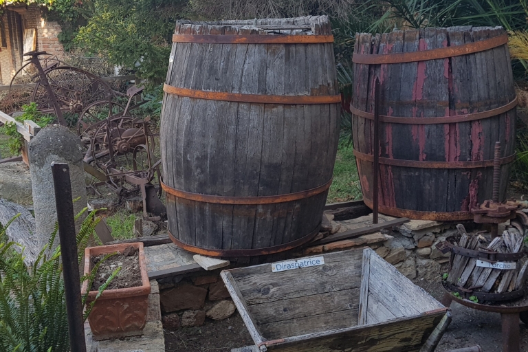 Expérience viticole Toscane-Latium d'une journéePrise en charge au port et au centre-ville de Civitavecchia