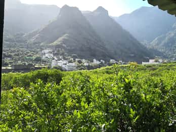 Gran Canaria: Grand Island Tour mit Bus und Transfers