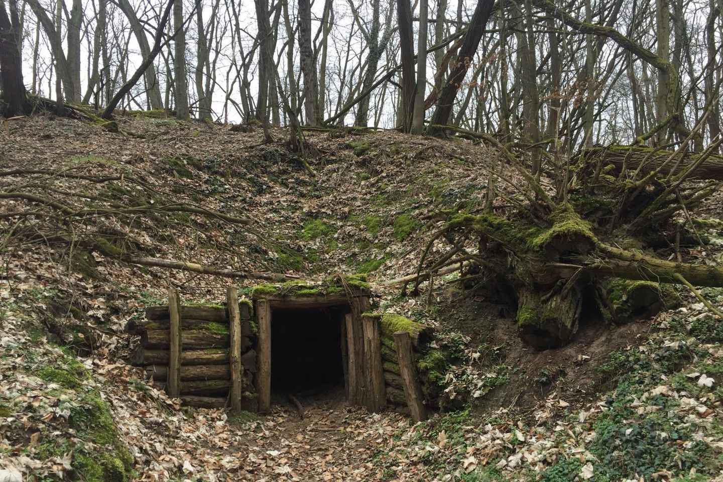 Berlín: Seelow hæðir WW2 - Risar mætast