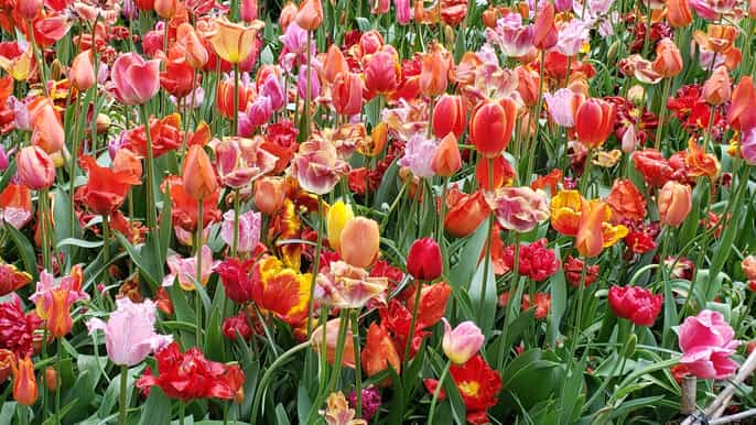 new york secrets of central park midsection walking tour