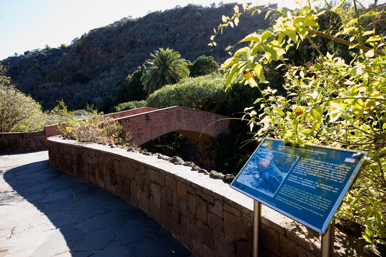 Las Palmas: rondleiding oude stad en omgevingRondleiding in het Spaans