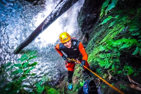Sao Miguel: expérience de canyoning à CaldeiroesVisite d'une demi-journée avec ramassage