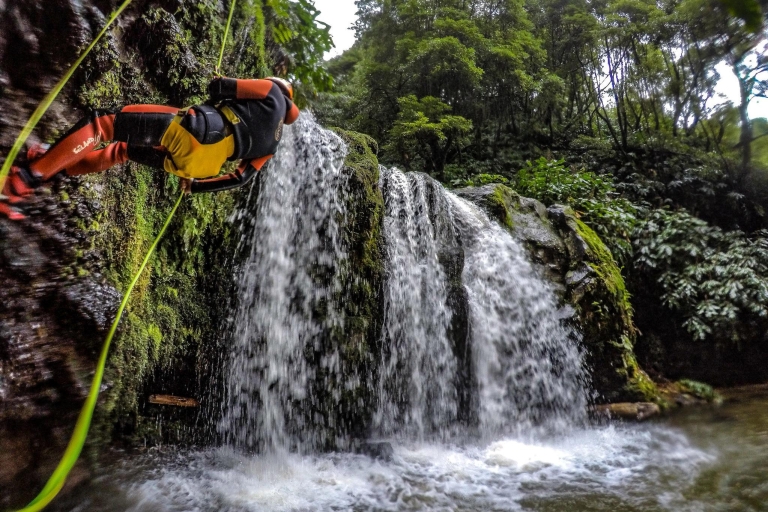 Sao Miguel: expérience de canyoning à CaldeiroesVisite d'une demi-journée avec ramassage