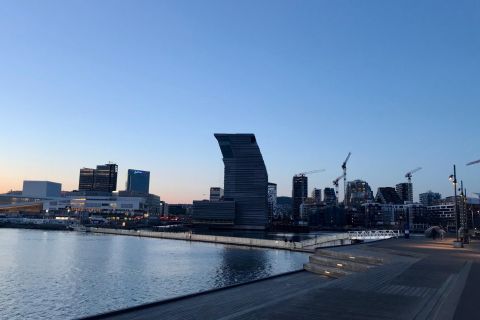 Oslo: panoramisch uitzicht en beeldenparkwandeling