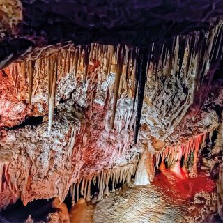 Grotte di Genova: ingresso e tour autonomo da Palma
