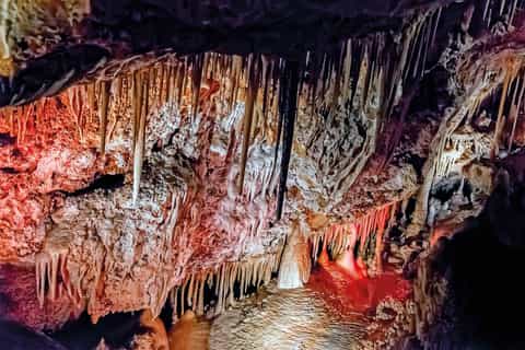 Palma: Caves of Genova Admission and Self-Guided Tour