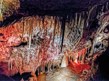 Palma: Kleingruppentour in den Cuevas de Génova Palma: Kleingruppentour in den Cuevas de Génova