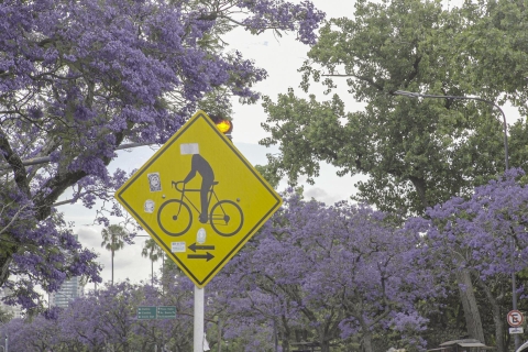 Buenos Aires: Tagestour per Fahrrad & Mittagessen