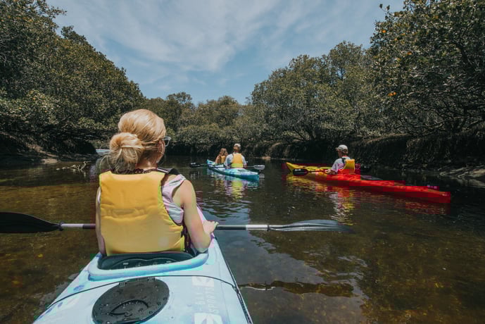 Аделаида: эко-каякинг с дельфинами