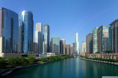 Chicago: tour en microbús y crucero de arquitectura opcionalChicago: tour en microbús y crucero por el río