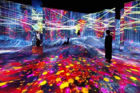 shanghai digital art museum teamlab borderless ticket