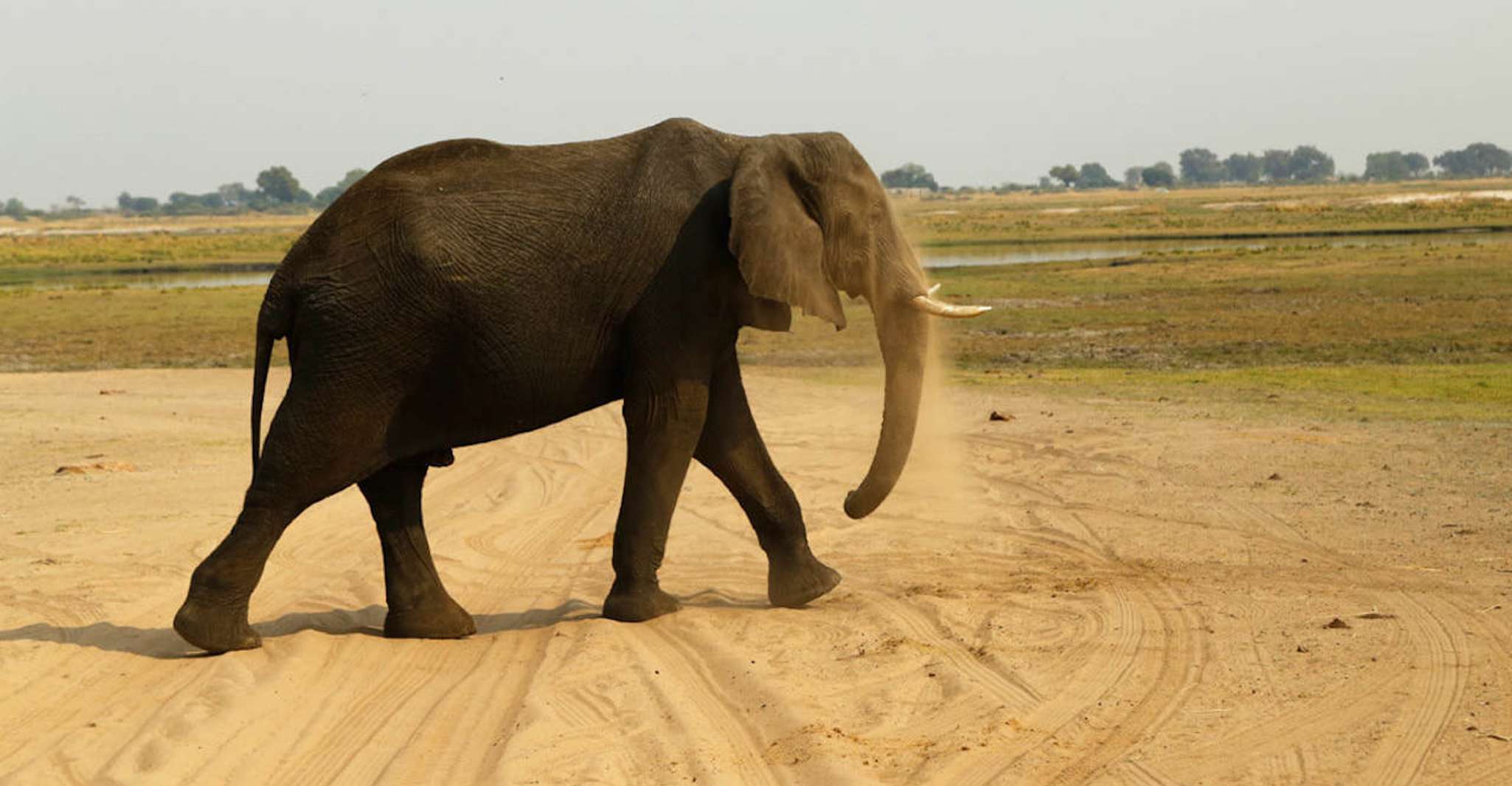 Von Kasane, Chobe National Park Übernachtung Camping Safari - Hizvo