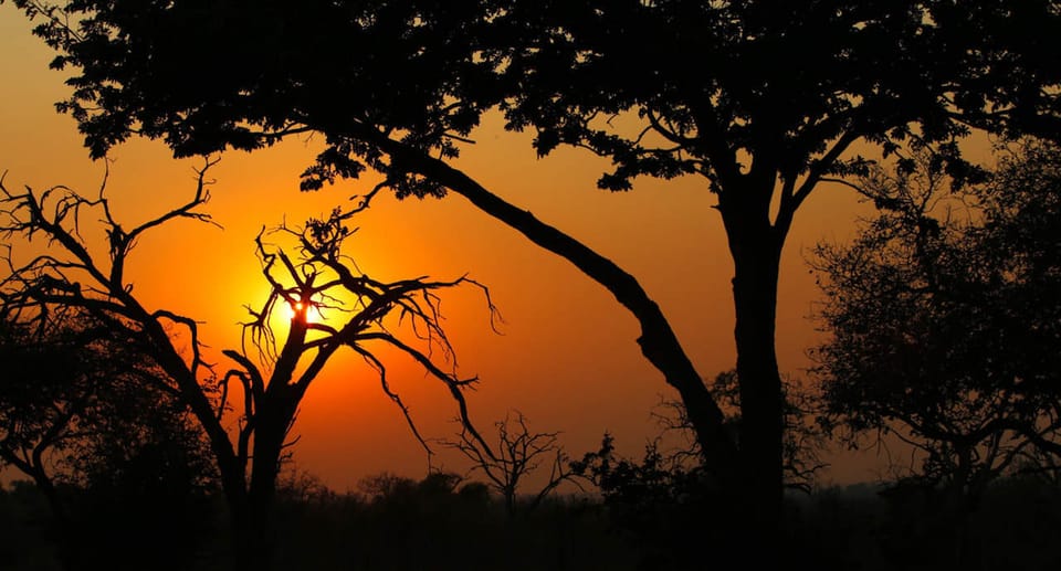 Von Kasane, Chobe National Park Übernachtung Camping Safari - Hizvo