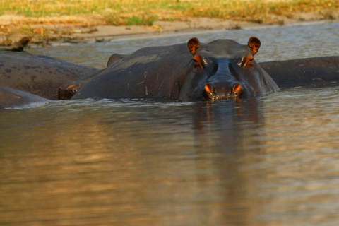 From Kasane: Chobe National Park Overnight Camping Safari